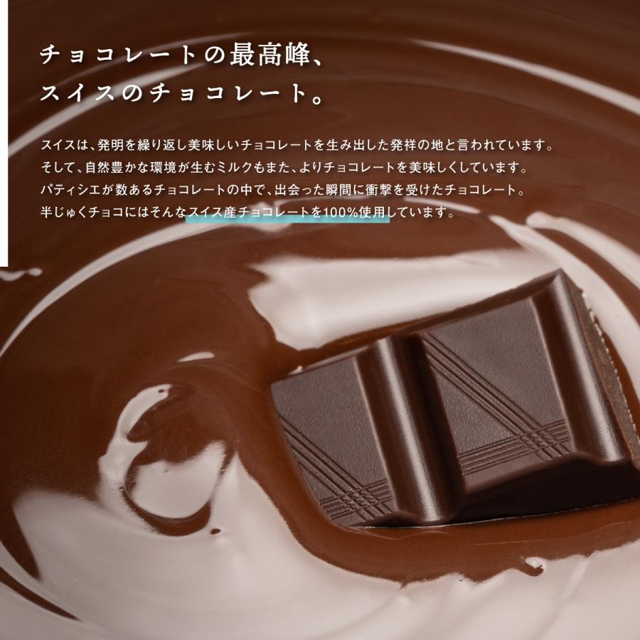 バレンタインデー時期限定 半じゅくチョコ10個入りギフトセット ※2月8