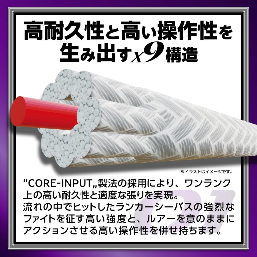 VARIVAS（バリバス） アバニ シーバス マックスパワー PE X9 0.8号