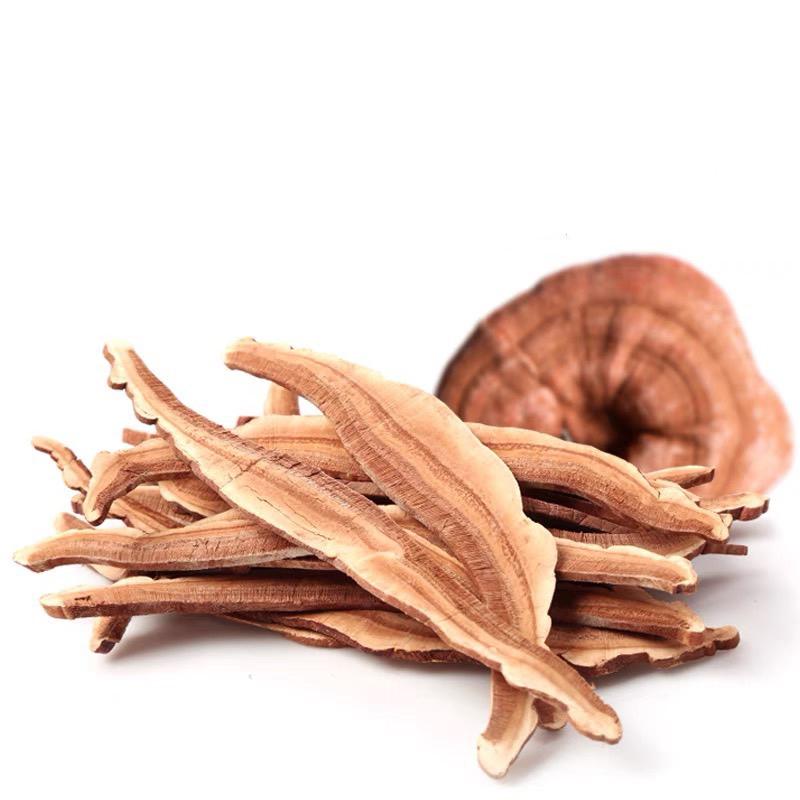 霊芝 120g れいし レイシ 赤霊芝 漢方 本場中国から輸入 健康茶