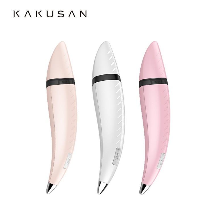 ホームアイホーム 超音波 美顔器 イオン導入 フィスケア ミニ 超音波