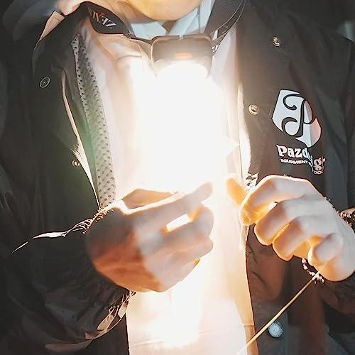 冨士灯器 ZEXUS(ゼクサス) LEDライト ZX-199 ハイブリッドモデル 最大