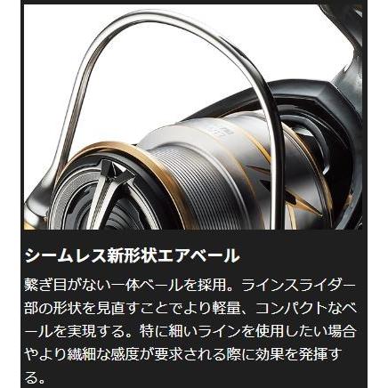DAIWA（ダイワ） 20 ルビアス LT4000-CXH /スピニングリール : つり具