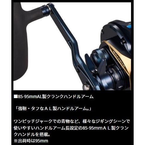 DAIWA（ダイワ） 25ソルティガ IC 300HL-SJ-C : つり具の銭屋 - 通販