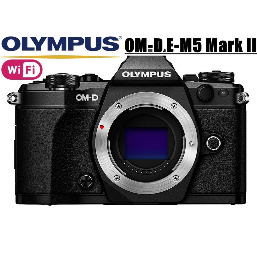 オリンパス OLYMPUS OM-D E-M5 Mark II ボディ（ブラック） ミラーレス