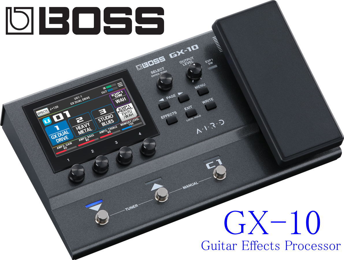 Del-Verb Ambience Companion ギターエフェクター本体 - 最安値・価格