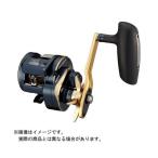 DAIWA（釣り） 21 ソルティガIC 300HL-SJ 釣り ベイトリール - 最安値