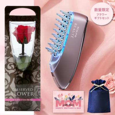 アデランス 電気リフトブラシのおすすめ人気商品一覧 通販 - Yahoo