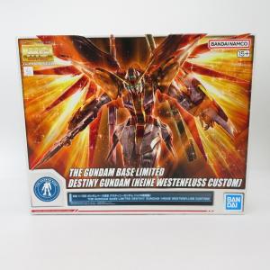 MG 1/100 ハイネ専用デスティニーガンダム BANDAI バンダイ プラモデル
