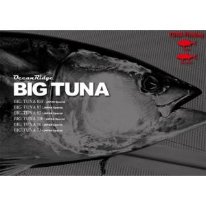 リップルフィッシャー BIG TUNA ビッグツナ 73 JAPAN Special ジャパン