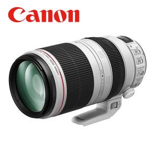 EFレンズ キヤノン Canon EF 70-300mm F4-5.6L IS USM 望遠レンズ フル