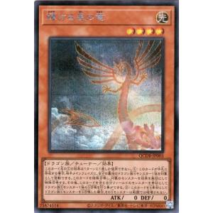 遊戯王オフィシャルカードゲーム デュエルモンスターズ 遊戯王カード