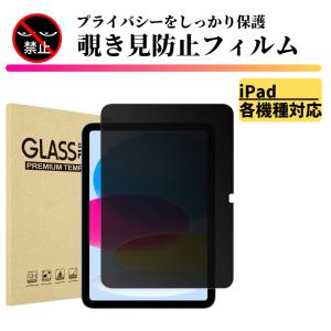 iPad Pro 11 インチ 第1世代 第2世代 第3世代 第4世代 覗き見防止 強化