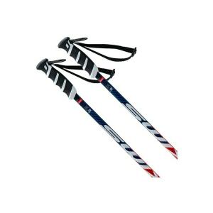 SWIX（スウィックス） 【エントリーでP最大17倍！27日〜】SWIX スキー