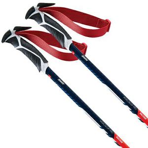 SWIX（スウィックス） 【エントリーでP最大17倍！27日〜】SWIX スキー