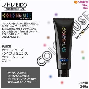 SHISEIDO PROFESSIONAL（資生堂プロフェッショナル） 送料無料｜資生堂