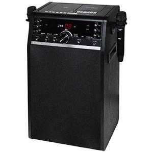 ANABAS（アナバス） DVDカラオケシステム DVD-K110 ワイヤレスマイク