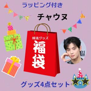 チャウヌ ASTRO アストロ 大判 インテリアタオル 110×70 韓流 グッズ