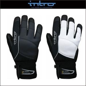 Introイントロ Stinger5 スティンガー5 - 最安値・価格比較 - Yahoo