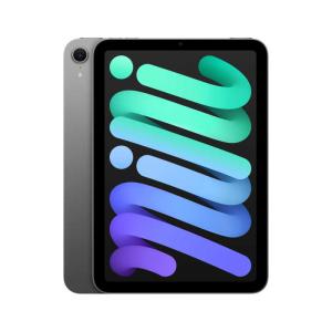 Apple iPad mini 第7世代 Wi-Fi 128GB MXN63JA スペースグレイ【お