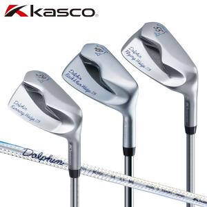 kasco（キャスコ） Dolphin Running Wedge DRW-119 39° 33インチ