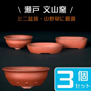 盆栽鉢 紫泥外縁額面六角鉢 朱泥 植木鉢 中国鉢 泥鉢 懸崖鉢 陶器 6号