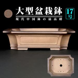盆栽鉢 烏泥外縁隅入長方鉢 植木鉢 中国鉢 張氏製陶 落款あり 15号