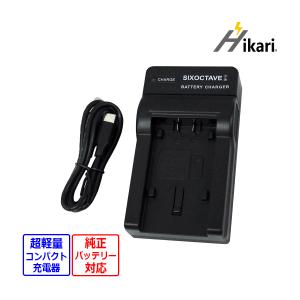 ロワジャパン 【互換品】 パナソニック対応 VW-BC10-K USB 充電器 VW