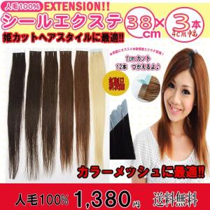 シールエクステ 人毛100% 30cm 3本セット 1cm の切れ目有 カットすれば