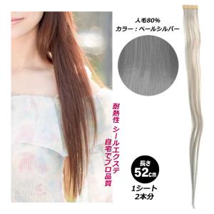 ブラック 黒 P-1B シール エクステ 人毛 ロング ヘアエクステ 長さ52cm
