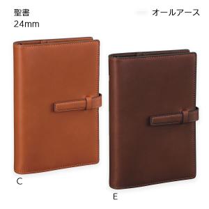 ダ・ヴィンチ 【送料無料(本州のみ)】レイメイ藤井 DSA4051C システム