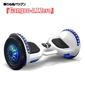 ミニセグウェイ バランススクーター セグウェイ 初めてでも安心 補助