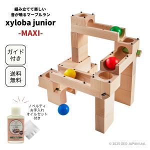 ノベルティ付き xyloba junior サイロバジュニア midi ブロック合計17