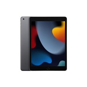 iPad 10.2インチ 第9世代 Wi-Fi 256GB 2021年秋モデル MK2P3J/A