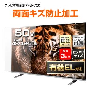 山善 テレビ チューナーレス 液晶 4K 50インチ ネット動画対応 地上波