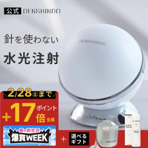 公式！2/28まで☆5,000円OFFクーポン+ギフト】DENSHINDO プラズマ エア