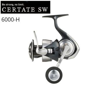 DAIWA（ダイワ） 【ご奉仕価格】ダイワ 24セルテート SW 5000-XH