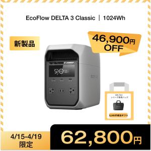 ECOFLOW EcoFlow DELTA 2 Max 専用ケース ポータブル電源用 収納バッグ