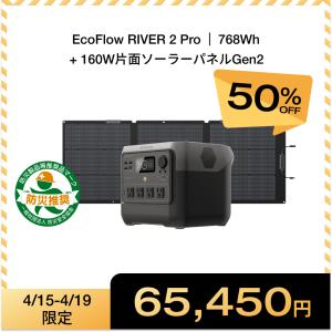 ECOFLOW EcoFlow DELTA 2 Max 専用ケース ポータブル電源用 収納バッグ