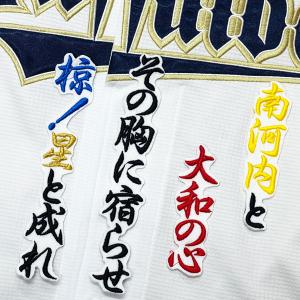 ☆送料無料☆オリックス バファローズ 藤川敦也 ネーム 袖 応援 刺繍