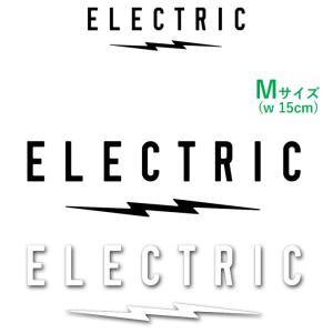 ELECTRIC ICON LOGO STICKER ステッカー エレクトリック Sサイズ 13 14