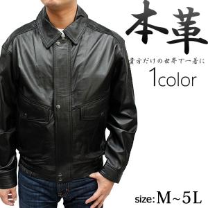 Schott N.Y.C（ショット） schott レザージャケット 革ジャン ブルゾン