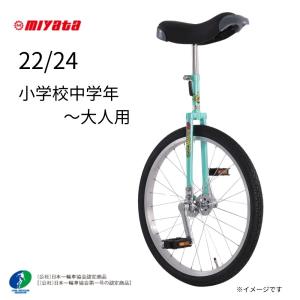公社)日本一輪車協会認定品 小学校愛用モデル 一輪車 子供用 競技用 18