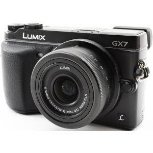 LUMIX パナソニック Panasonic ルミックス GX7 Mark2 ライカ LEICA