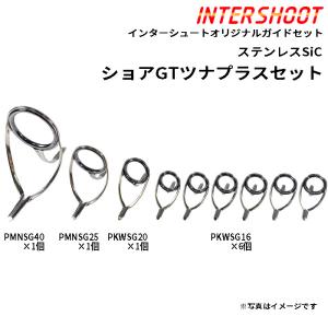 Fuji シーバス ガイドセット ステンレスSiC PKLSG25H8-IS スピニング