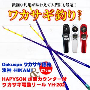 フライデー ワカサギ替え穂先 27cm 1本 ＆ ハピソン 電動リール 2点