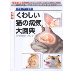 送料無料】[本/雑誌]/犬と猫の腹部超音波の描出レッスン 下/戸島篤史
