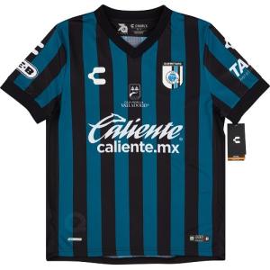 予約ECM32】【国内未発売】アイルランド代表 ホーム 長袖 プレイヤー