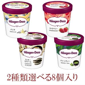 ハーゲンダッツ（Haagen-Dazs） 業務用 選べる4個セット 2000ml×4入