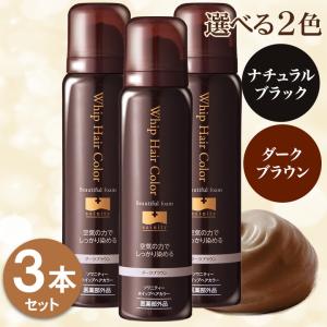 大容量 ヘアボーテエクラ ボタニカル エアカラーフォーム EX ダーク