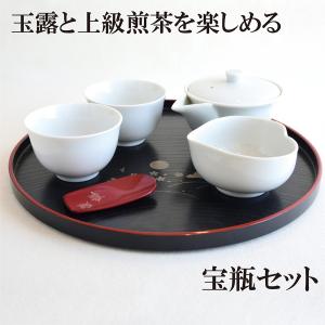 煎茶道具 急須 宝瓶 ほうひん 宝品急須 280ml 陶器製網 茶道 : 茶道具